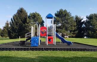 a playground in a park with a blue slide