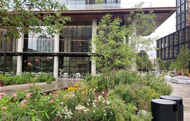 thick landscaping in front of Amazon HQ2 at The Millennium, Arlington, VA, 22202