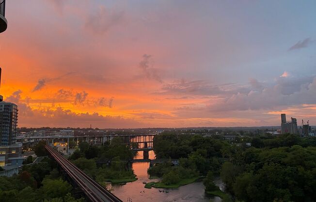 1 bed, 1 bath, $1,600