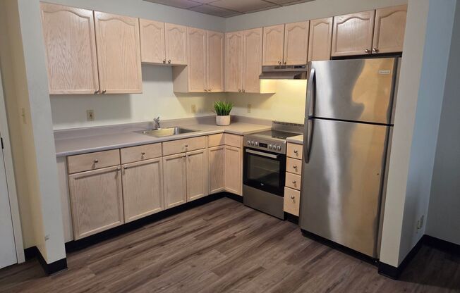 Studio, 1 bath, 395 sqft, $1,180, Unit 501