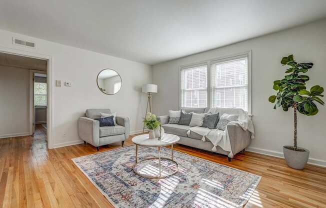 A living room with a grey couch, a round mirror, a rug and a potted plant.