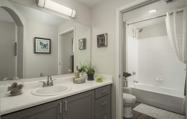 Elegant and modern bathrooms at Trevi Apartment Homes
