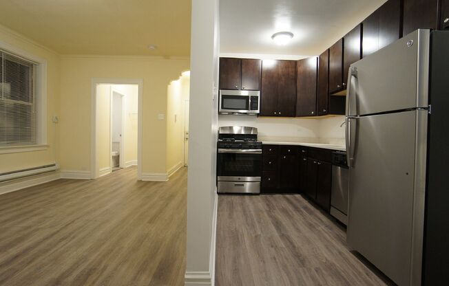 Studio, 1 bath, 523 sqft, $1,650, Unit 201