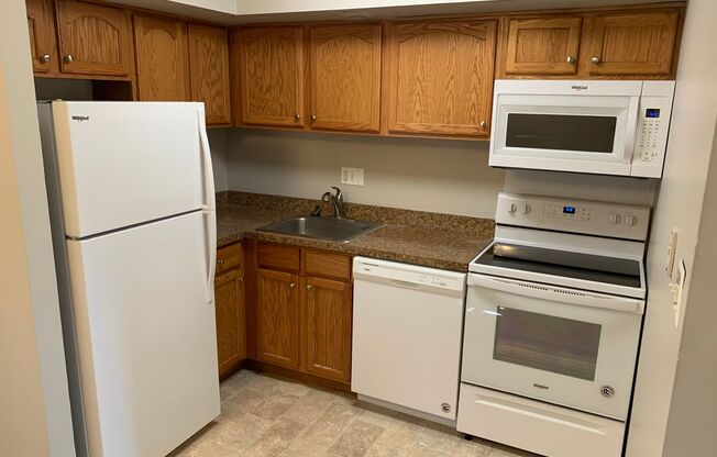 1 bed, 1 bath, 770 sqft, $1,770, Unit A31