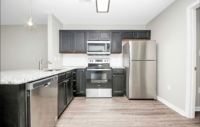 Charming 1 Bedroom/1 Bathroom Condo - Newly Renovated - Open Floor Plan - Optional Amenities Available