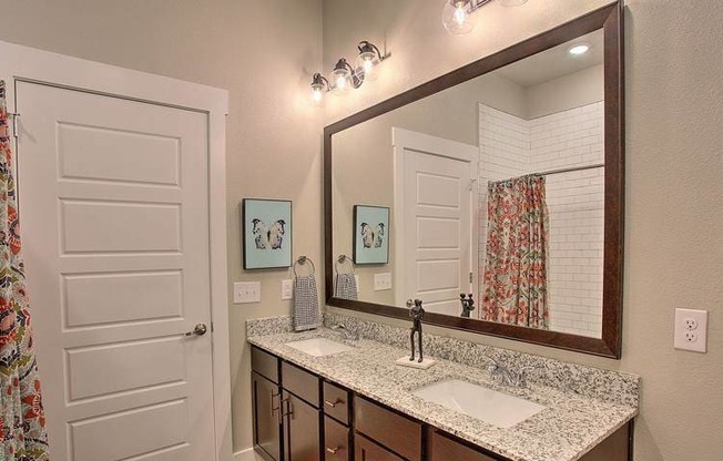 a bathroom with a sink and a mirror at Hunters Creek Apartments, Denton, TX 76210