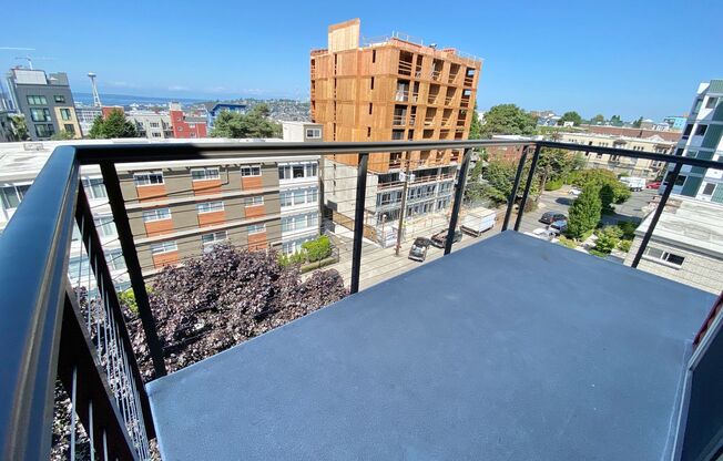Harvard Vista