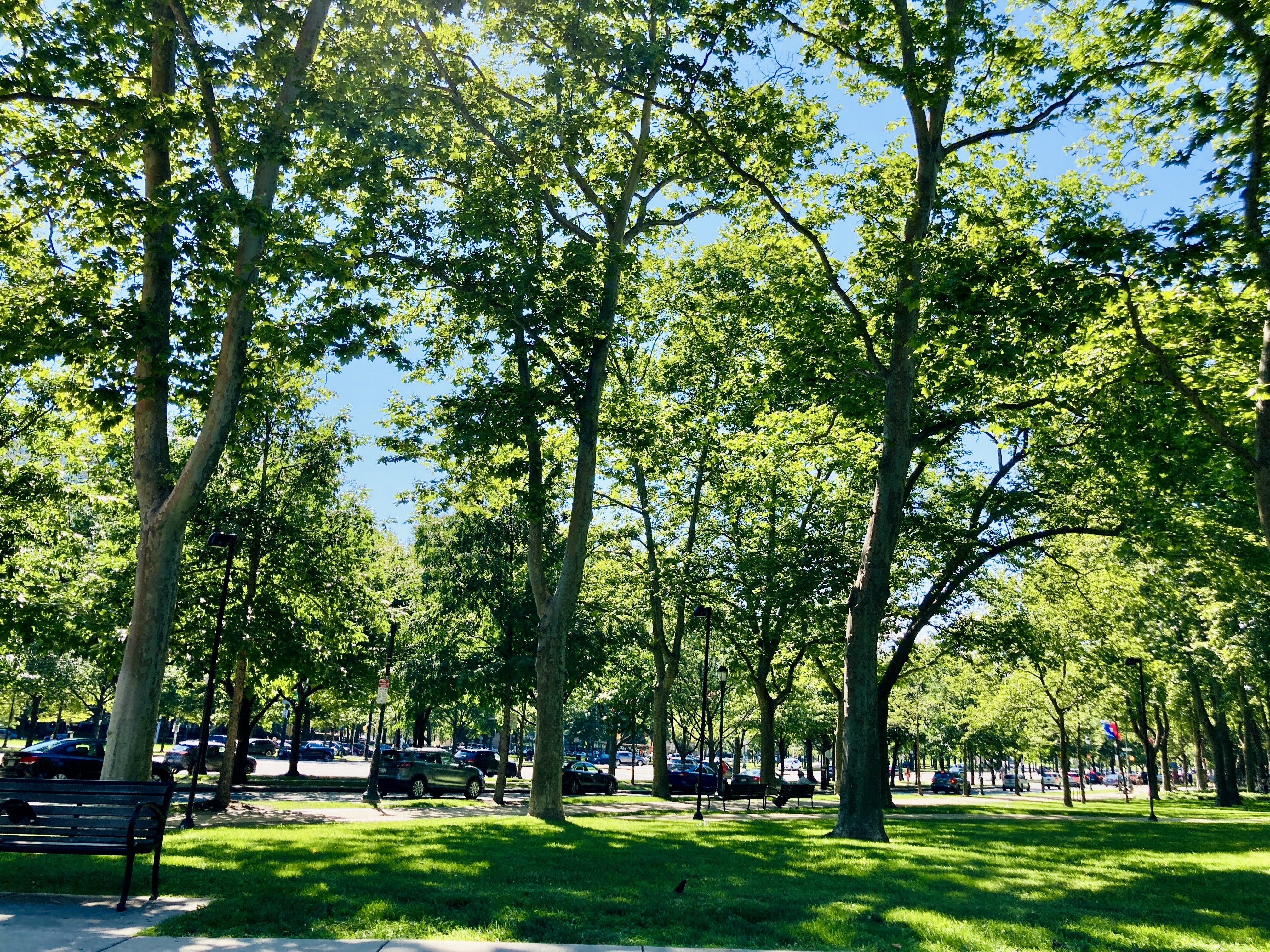 Benjamin Franklin Parkway in North Philly