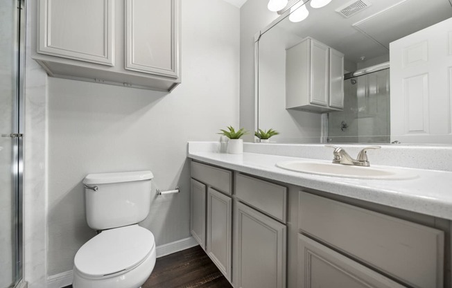 a bathroom with a toilet and a sink and a mirror