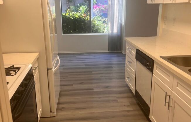 1 bed, 1 bath, $2,350, Unit 02