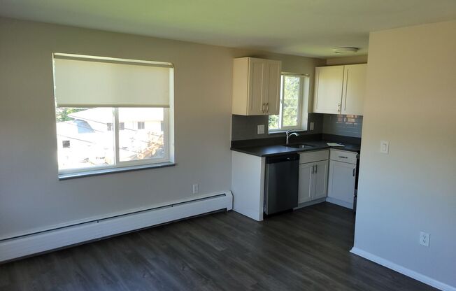 1 bed, 1 bath, 475 sqft, $1,425