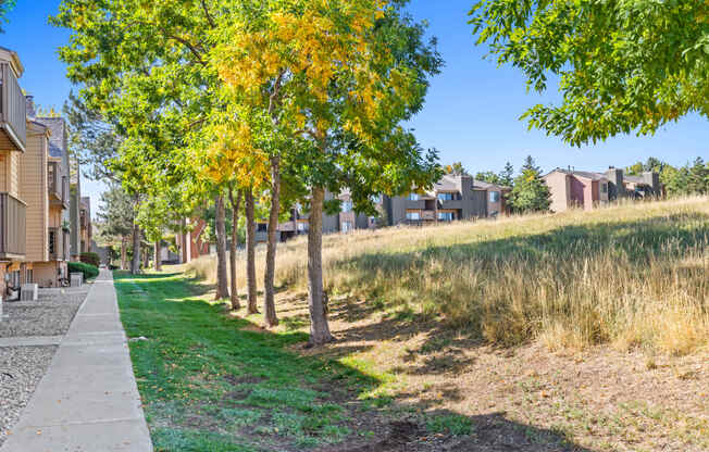 a tree lined sidewalk next to a row of houses