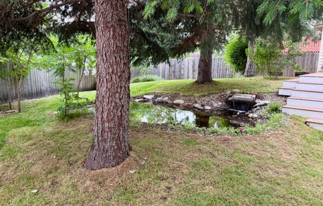 Park-like Yard, Updated Home