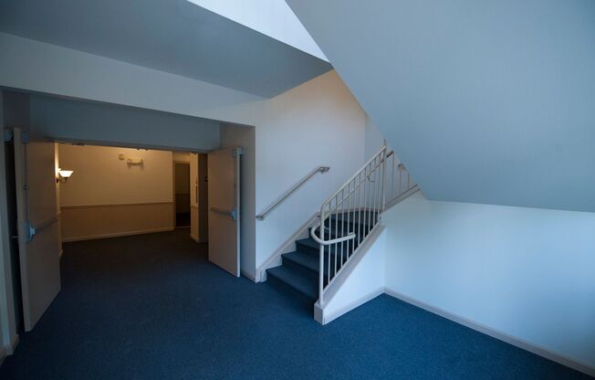 Falls Chapel Apts