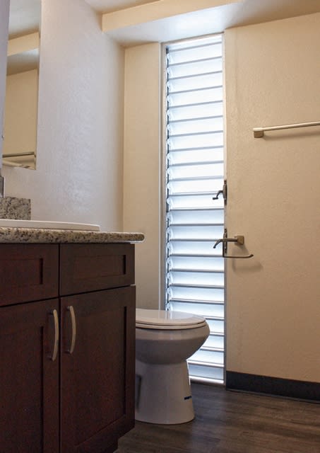 Waikiki Walina Apartments bathroom with vanity and toilet