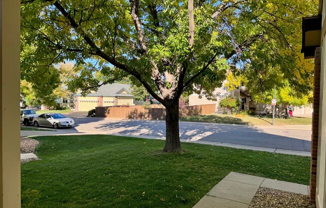 Spacious, Highlands Ranch Home Featuring 4 Upper Level Bedrooms, including Large, Basement Bedroom Suite!  Douglas County Schools!  Mins to SH 470 and Highlands Ranch Parkway!