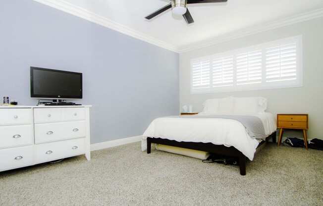 Naturally lit bedroom with ceiling fan.