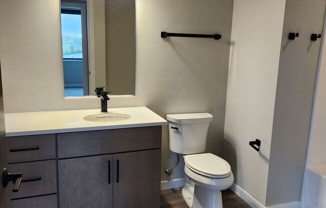 1 bed, 1 bath, 798 sqft, $1,325, Unit 202