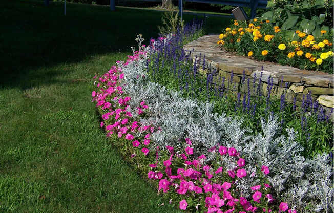 A garden with a stone wall and a variety of flowers.