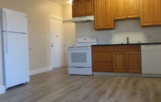 1 bed, 1 bath, 500 sqft, $1,425, Unit 4500-10