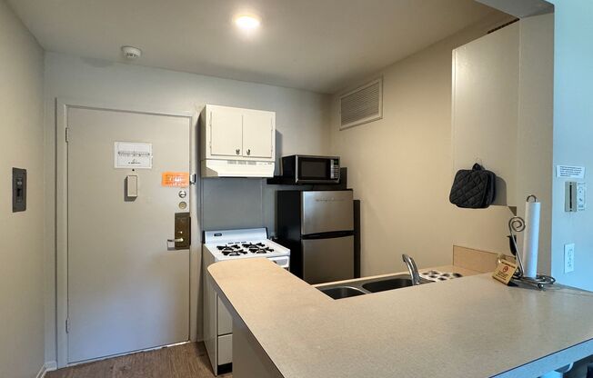 Studio, 1 bath, 310 sqft, $900, Unit 3