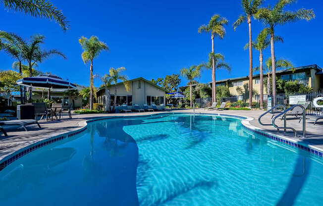 A swimming pool surrounded by palm trees and lounge chairs.