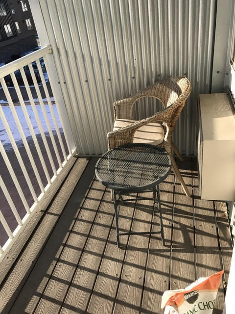 Studio, 1 bath, 454 sqft, $725, Unit 311