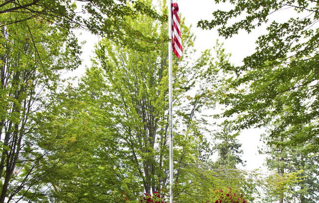 The Whimsical Pig Apartments Exterior Flag Pole