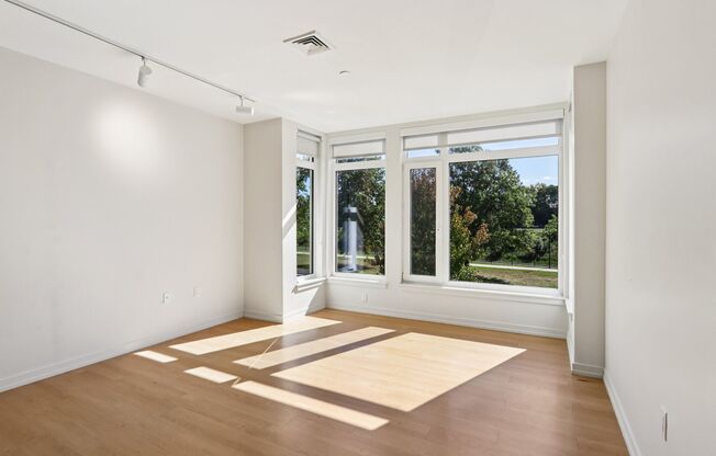 Living Room with Natural Light at Park77 Apartments, Cambridge, MA, 02138