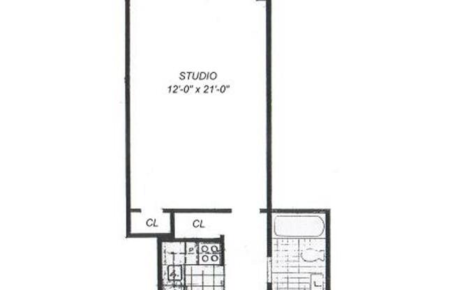 Studio, 1 bath, $2,500, Unit 16B