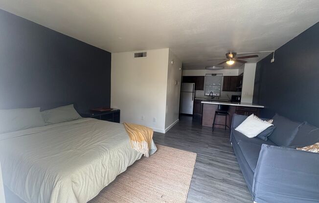 Studio, 1 bath, 370 sqft, $1,299, Unit 20