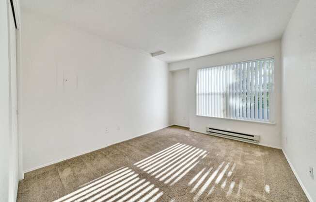 the spacious living room of an apartment with a large window