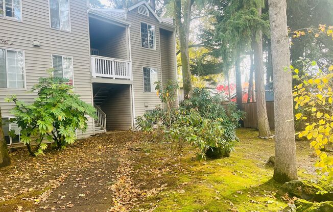 First Full Month's Rent Free! Bright and Airy One Bedroom Condo - Water, Sewer & Trash Covered!