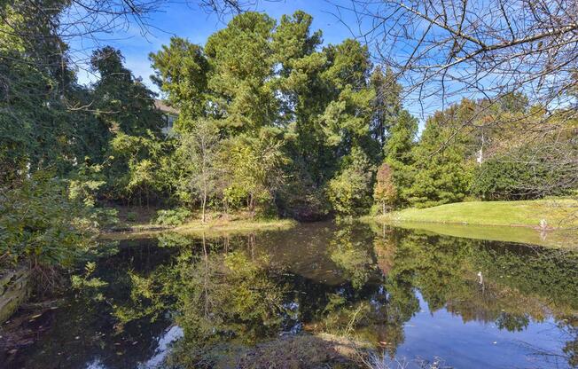 Scenic view at Beacon Ridge Apartments, PRG Real Estate Management, Greenville, SC, 29615