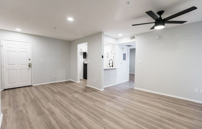 1 bed, 1 bath, 700 sqft, $1,667, Unit 301