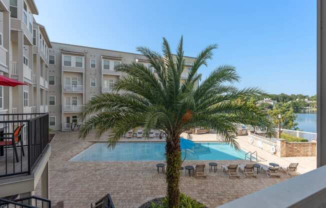 a view of a pool and a palm tree in front of an apartment building