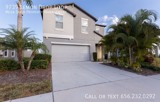 9739 LEMON DROP LOOP