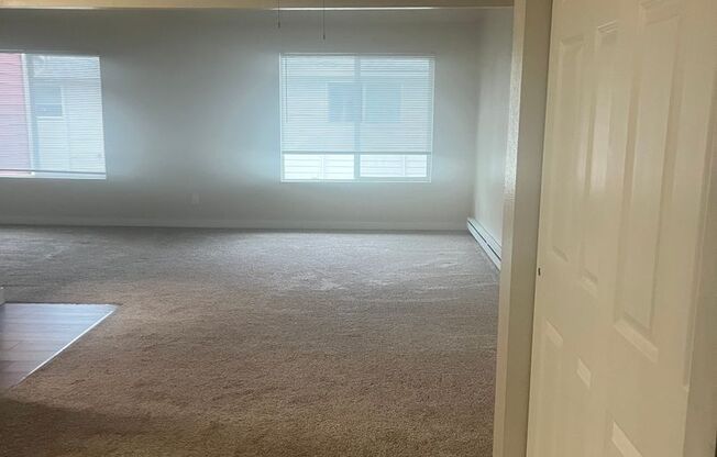 1 bed, 1 bath, 700 sqft, $1,700, Unit 19