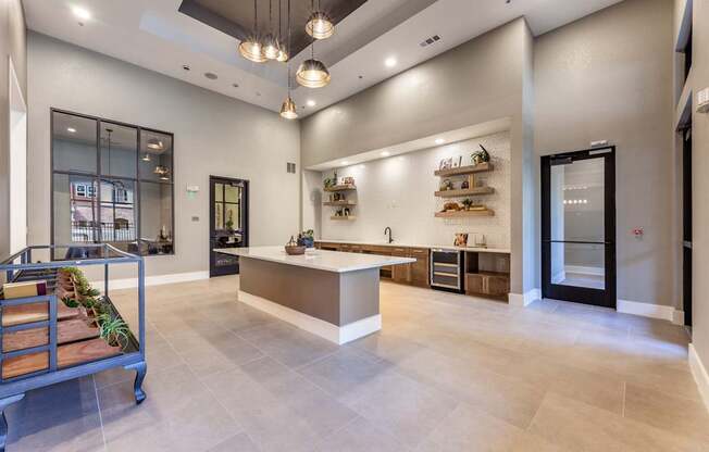 A modern kitchen with a long counter and a plant on it.