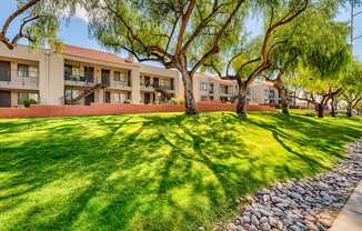 A grassy area in front of apartment buildings.