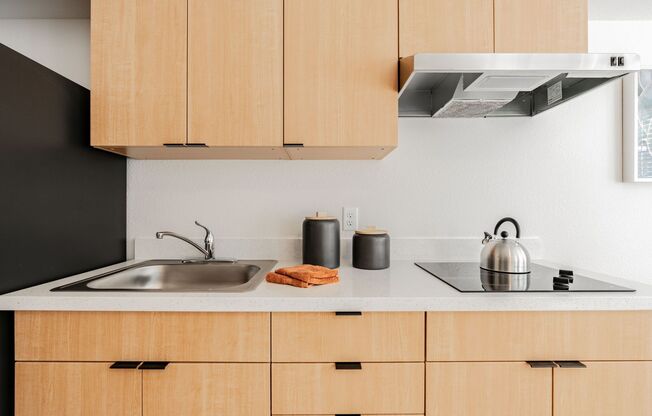 Studio, 1 bath, 313 sqft, $1,295, Unit 131