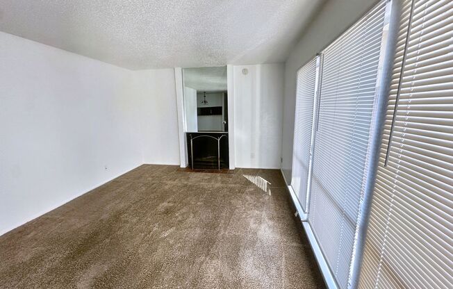 1 bed, 1 bath, 708 sqft, $895, Unit 1