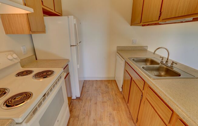 1 bed, 1 bath, 620 sqft, $1,400, Unit 10-109