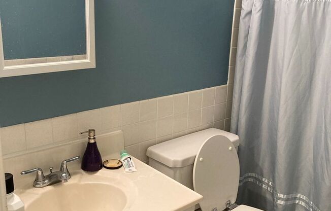 1 bed, 1 bath, 550 sqft, $1,100, Unit 212