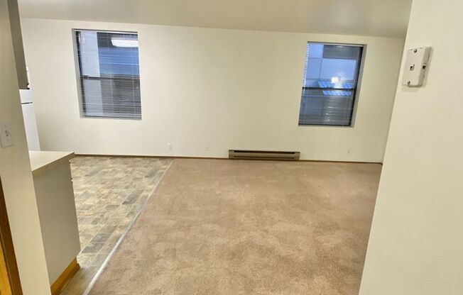 Studio, 1 bath, 413 sqft, $1,295, Unit 212