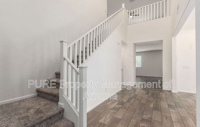 3041 E DESERT BROOM PL