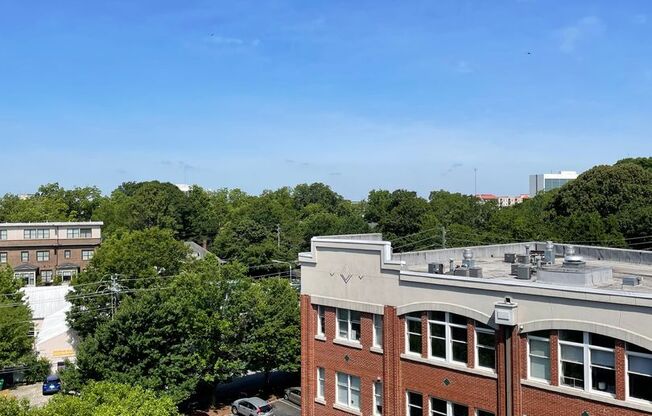 Studio, 1 bath, 900 sqft, $1,750, Unit A-509