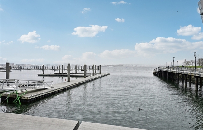 1 bed, 1 bath, 903 sqft, $7,500, Unit 6F