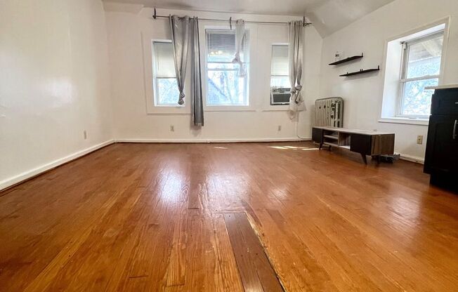 Saint Bernard St S 807