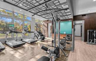 A gym with treadmills, weights, and exercise machines.
